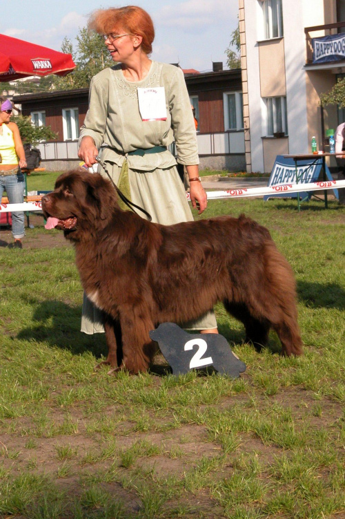 LIDZBARK 2006