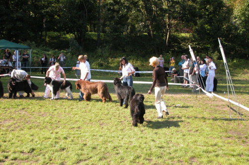 LIDZBARK 2006