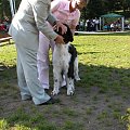 LIDZBARK 2006