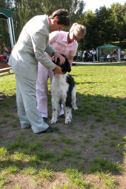 LIDZBARK 2006