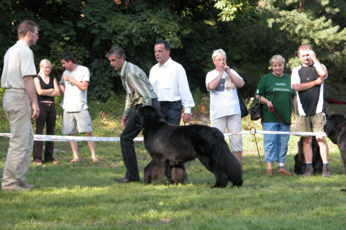 LIDZBARK 2006