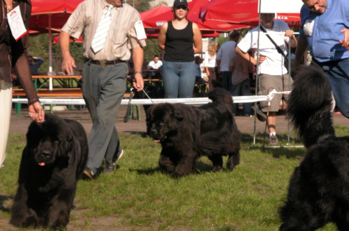 LIDZBARK 2006