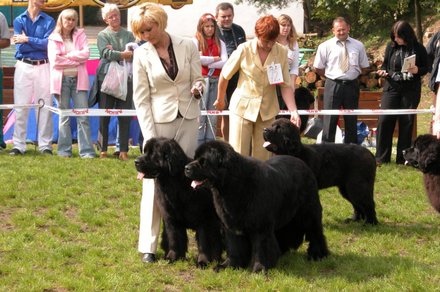 LIDZBARK 2006