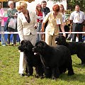 LIDZBARK 2006