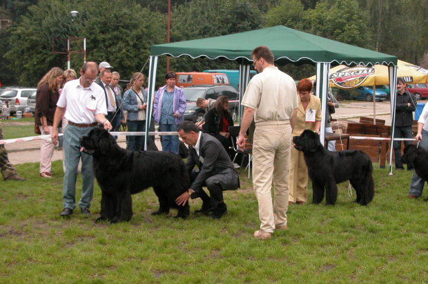 LIDZBARK 2006