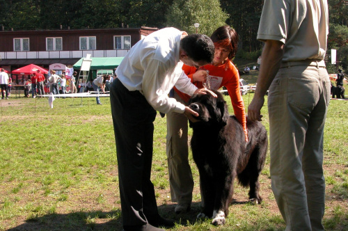 LIDZBARK 2006