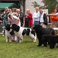 LIDZBARK 2006