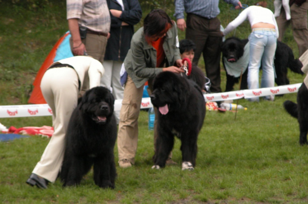 LIDZBARK 2006