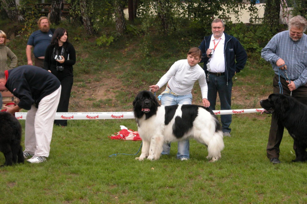 LIDZBARK 2006