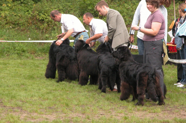 LIDZBARK 2006