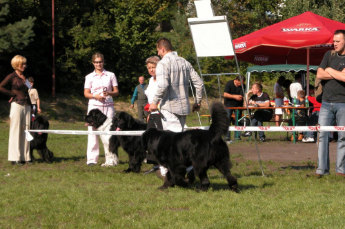 LIDZBARK 2006