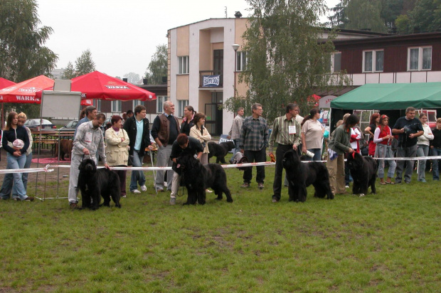 LIDZBARK 2006