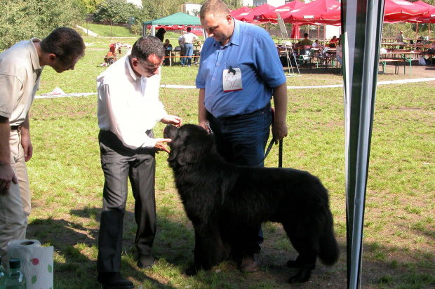 LIDZBARK 2006