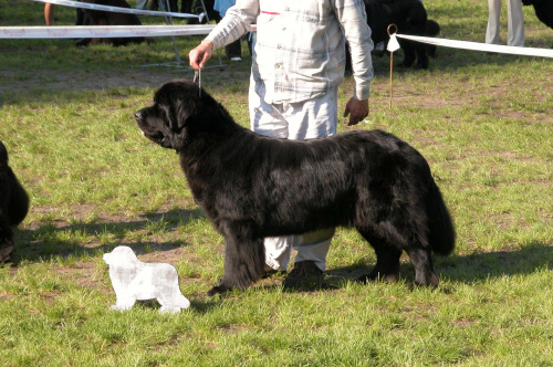 LIDZBARK 2006