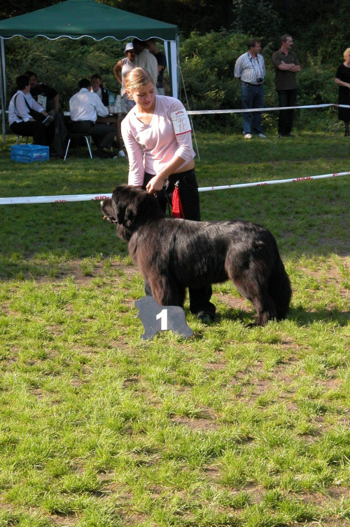 LIDZBARK 2006