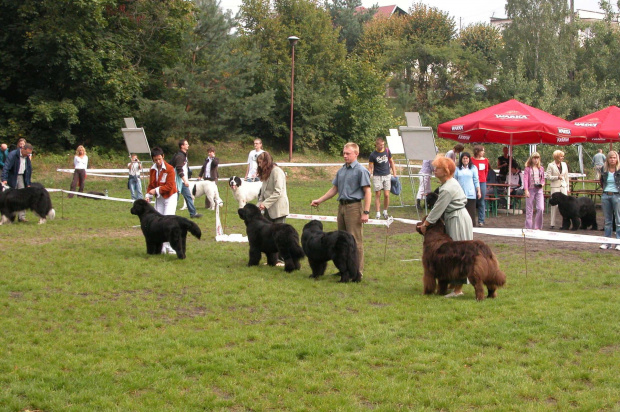 LIDZBARK 2006