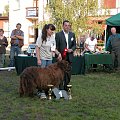 LIDZBARK 2006