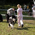 LIDZBARK 2006