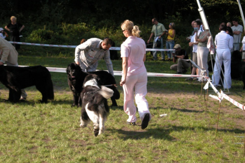 LIDZBARK 2006