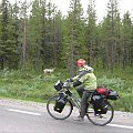 Szwecja 2006