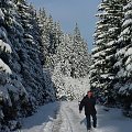 Zakopane-Moj Men