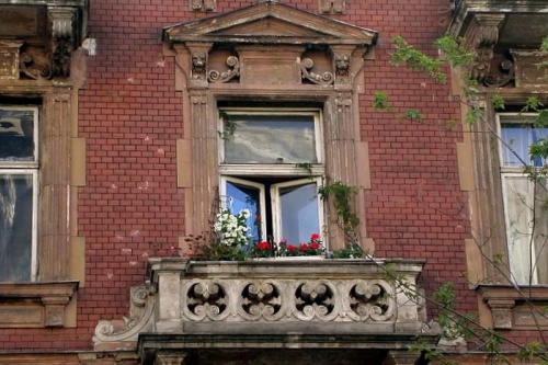 okno na Wiejskiej
