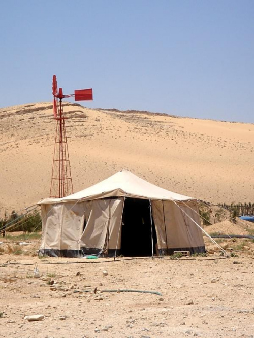 Syria - namiot Beduinów