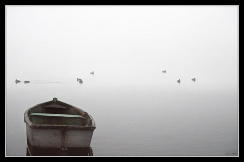 Wałcz, mgła na jeziorze Raduń. #Wałcz #mgła #jezioro #Raduń