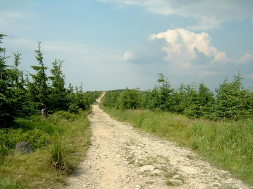 #beskid #beskidy #gory #góry #szlaki #widoki