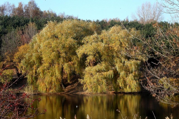 jesienne nastroje