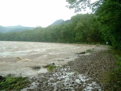 #pieniny #szlaki #gory #góry #widoki