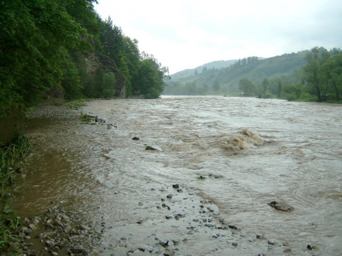 #pieniny #szlaki #gory #góry #widoki