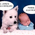 #śmieszne
