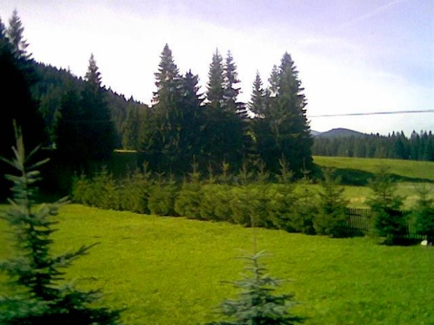 Bukowina Tatrzanska - widok z autobusu