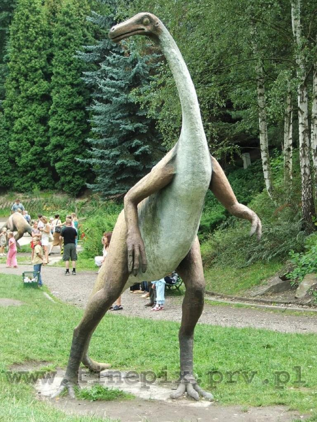Dinek #Chorzów #dinozaur #zoo #zyzio