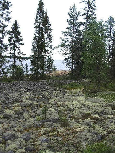 Kamienista polana w rezerwacie Gnarpskaten