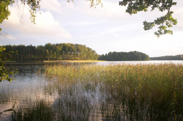 BOBĘCINSKIE DUŻE-NAGI CYPEL