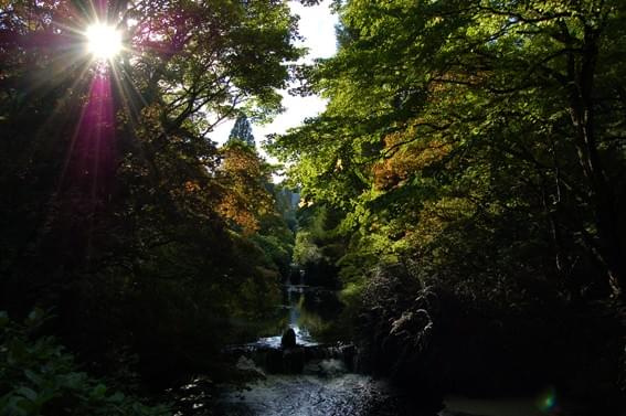 Botanic Garden in Duick #Szkocja #przyroda #ogrod