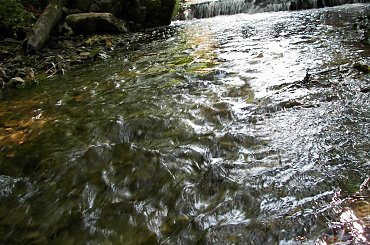 #ZłotyPotok #Dworek #Krasicki #Raczyńskich #Park #Las #Staw