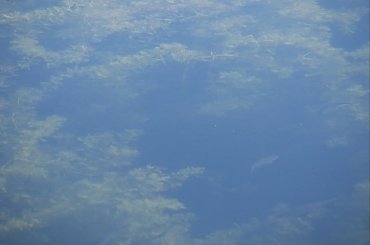 #ZłotyPotok #Dworek #Krasicki #Raczyńskich #Park #Las #Staw