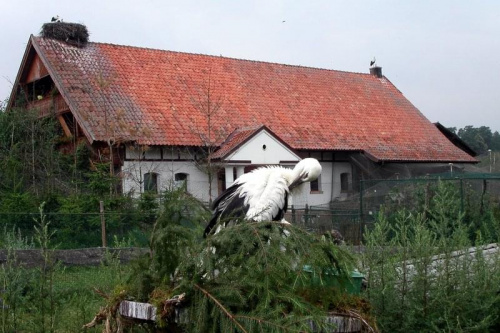 by dom był bezpieczny i szczęliwy...