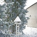 #mróz #szron #śnieg #winter #Zima #karmnik