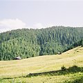 #góry