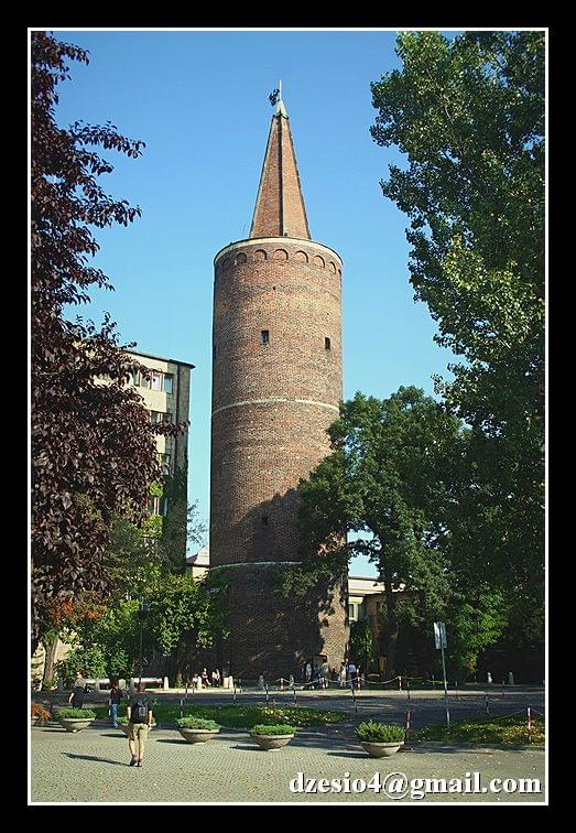 Wieża zamkowa, Strażnica na Pasiece. Najstarsza w Opolu. Od siedmiuset lat góruje nad Ostrówkiem i wyspą Pasieką, znak czasu i symbol Opola.
To jeden z najstarszych zabytków architektury obronnej