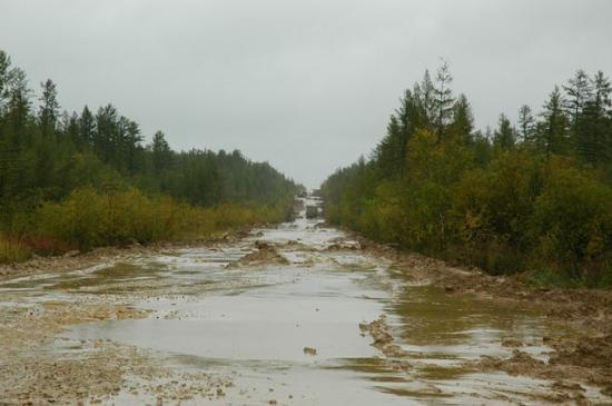 Błotko