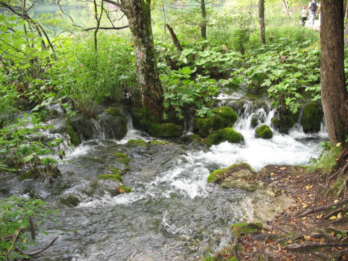 Plitwickie Jeziora - Chorwacja