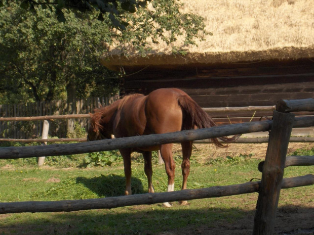 skansen