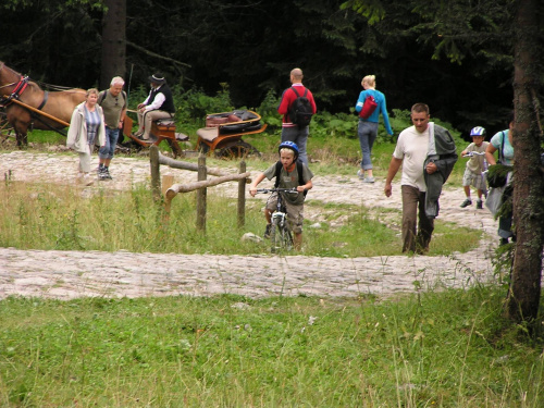 Wycieczka rowerowa Kubusia do Doliny Chochołowskiej w Tatrach.