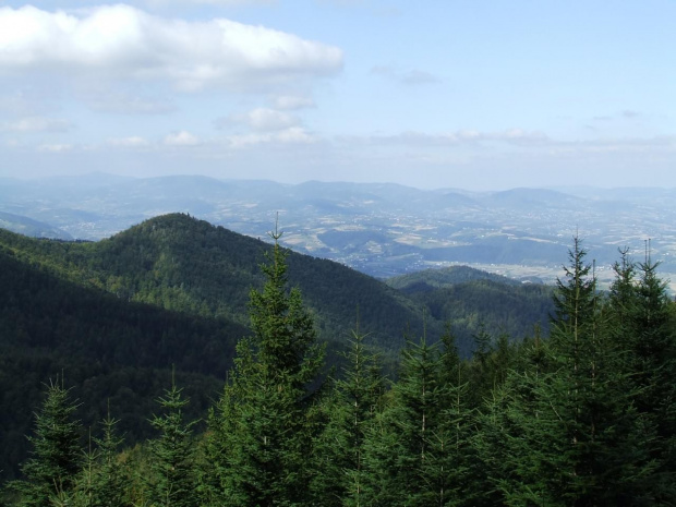 Beskid Sądecki - okolice Rytra #góry