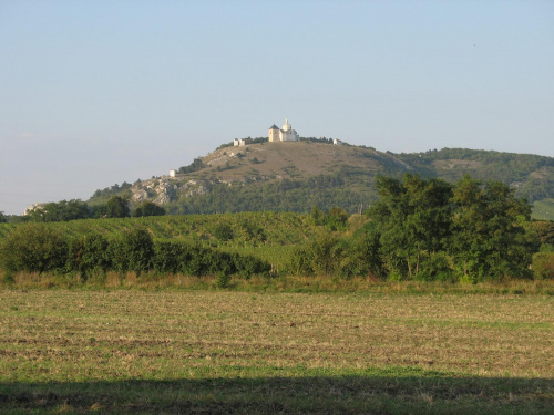 Mikulov - Czechy